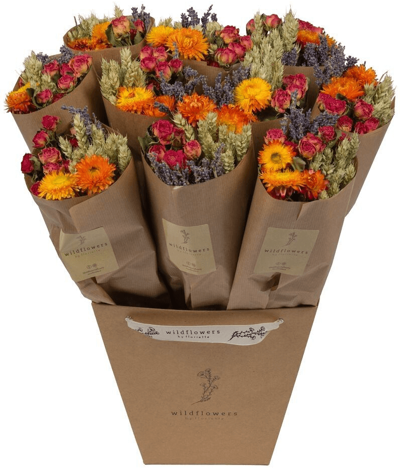 Bouquet sec de fleurs des champs Market More – Orange