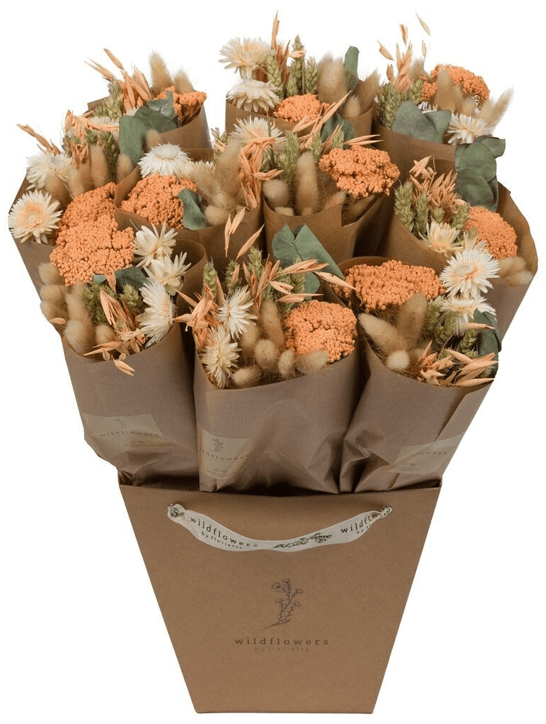 Bouquet sec de fleurs des champs Market More – Abricot