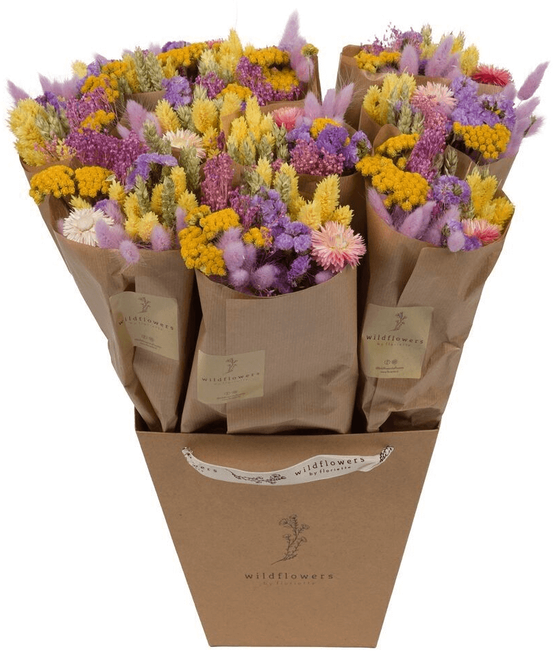 Bouquet sec de fleurs des champs Market More – Fleur lilas