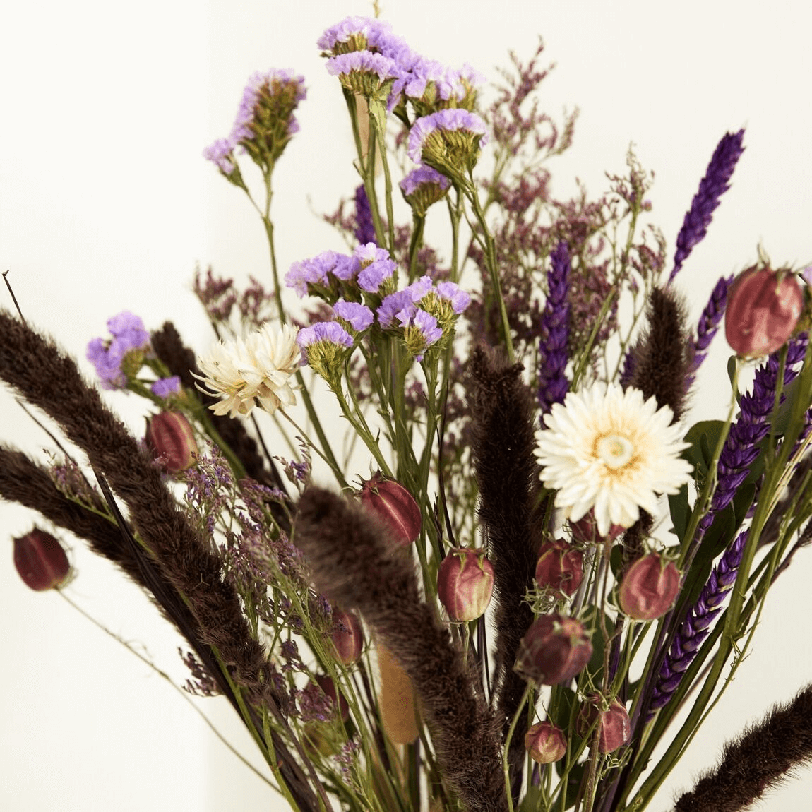 Bouquet sec fleurs des champs Violette des prés